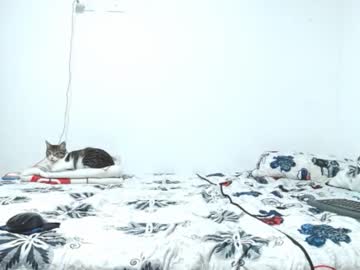 Gold_Shooter February 25, 2026 Chaturbate stream image