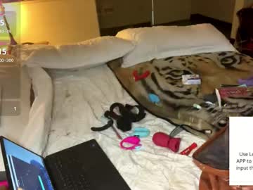 Rebelhartless999 March 01, 2026 Chaturbate stream image