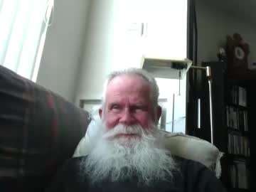 Beardbushy March 01, 2026 Chaturbate stream image