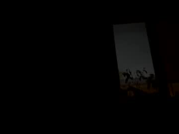 Pussylicker1377 March 03, 2026 Chaturbate stream image