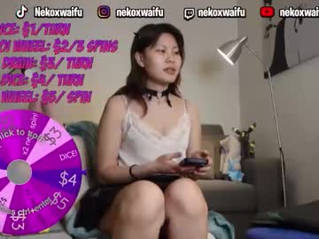Nekoxwaifu March 03, 2026 Chaturbate stream image
