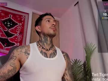 Tigerstripes_ March 04, 2026 Chaturbate stream image