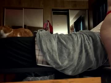 Wildkatxx20 March 05, 2026 Chaturbate stream image