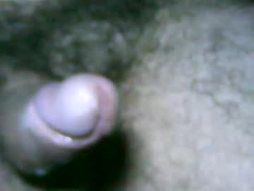 Fer_2197 March 05, 2026 Chaturbate stream image