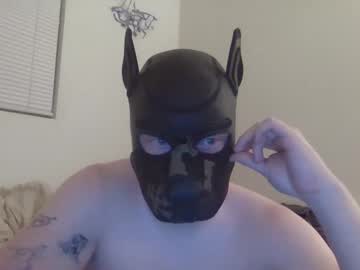 Puptav March 07, 2026 Chaturbate stream image
