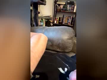 Longhairhunky March 08, 2026 Chaturbate stream image