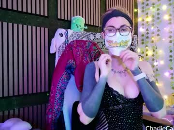 Charliecake March 08, 2026 Chaturbate stream image