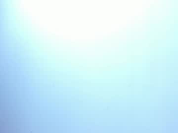 Denise_Diaz March 10, 2026 Chaturbate stream image