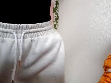 Brittanitorkelson March 12, 2026 Chaturbate stream image