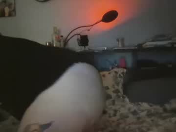 Mysexiness0 March 13, 2026 Chaturbate stream image