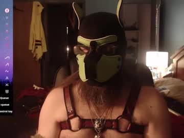 Kinkywolf87 March 15, 2026 Chaturbate stream image
