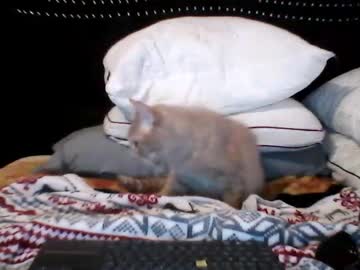 Bladen1986 March 19, 2026 Chaturbate stream image