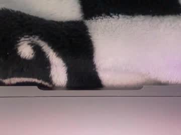 Thejennataylor March 21, 2026 Chaturbate stream image