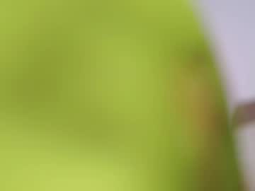 Avashay March 24, 2026 Chaturbate stream image