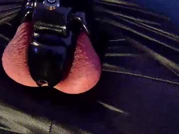 Cock_Locked March 24, 2026 Chaturbate stream image