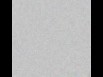 Southernftm March 25, 2026 Chaturbate stream image