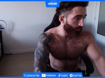 Bradtrainn March 25, 2026 Chaturbate stream image