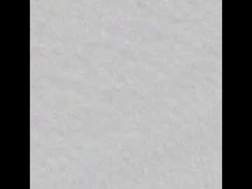 Nala_Omg2026 March 25, 2026 Chaturbate stream image