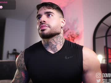 Dominic_Sullivan1 April 01, 2026 Chaturbate stream image