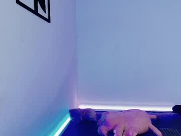 Notre_Dame1 April 01, 2026 Chaturbate stream image