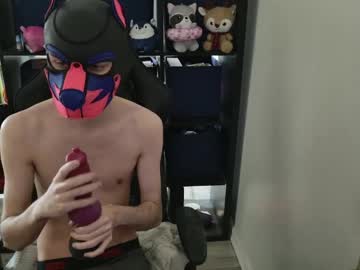 Mellpup April 01, 2026 Chaturbate stream image