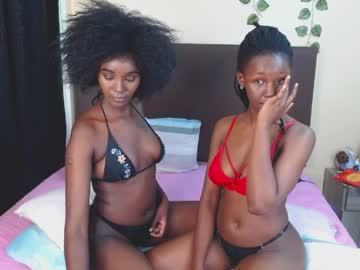 Babybree_1 April 02, 2026 Chaturbate stream image