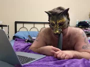 Zjuicedom April 02, 2026 Chaturbate stream image