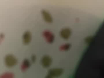 Noahlynx April 05, 2026 Chaturbate stream image