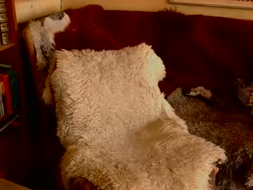 Davidbo_No1 April 05, 2026 Chaturbate stream image