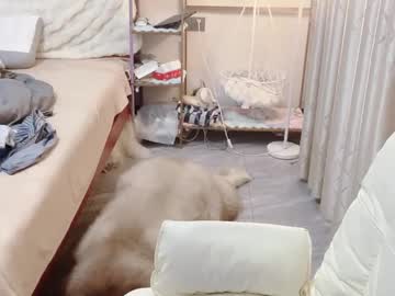 Anranl059 April 05, 2026 Chaturbate stream image