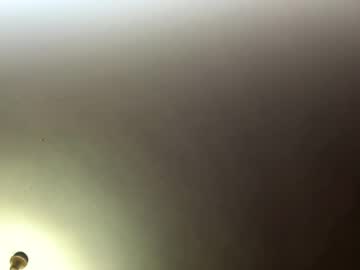 Nelliezhu April 06, 2026 Chaturbate stream image