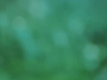 Stiphlermomy April 08, 2026 Chaturbate stream image