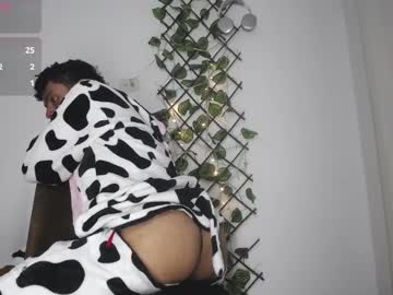 Luis_Prince_ April 09, 2026 Chaturbate stream image