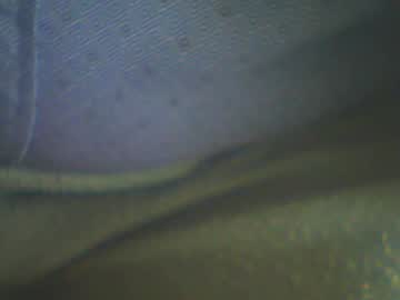 Castells April 09, 2026 Chaturbate stream image