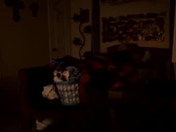 Savorthesnaps22 April 11, 2026 Chaturbate stream image