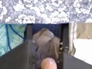 77airegin April 11, 2026 Chaturbate stream image