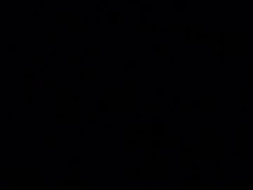 Iridisit April 12, 2026 Chaturbate stream image