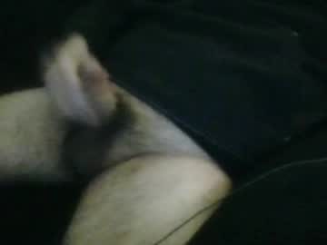 Wildealexyz April 15, 2026 Chaturbate stream image