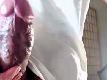 Levilitzer April 17, 2026 Chaturbate stream image