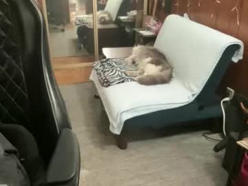 Ghostboygbc April 19, 2026 Chaturbate stream image