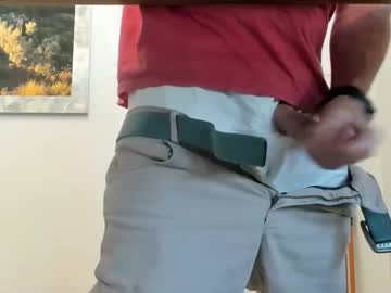 Idfunguy2023 April 21, 2026 Chaturbate stream image