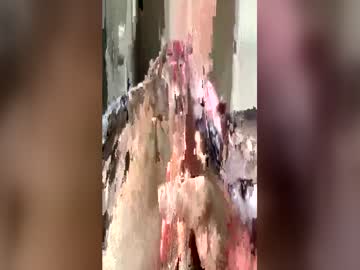 Leo41231 April 21, 2026 Chaturbate stream image