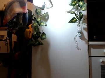 Evvygold April 21, 2026 Chaturbate stream image