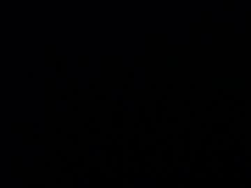 Licablack April 22, 2026 Chaturbate stream image