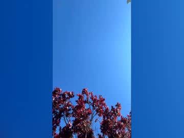 Jimm2098 April 25, 2026 Chaturbate stream image