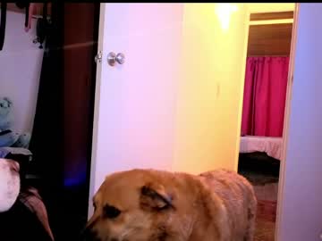 Alaia_Asuka April 27, 2026 Chaturbate stream image