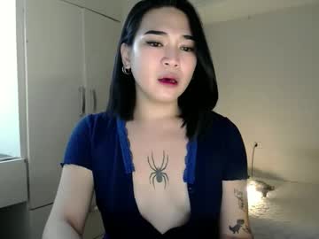 Shaggynm505 April 30, 2026 Chaturbate stream image