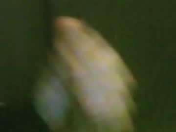 Kren565656 May 02, 2026 Chaturbate stream image