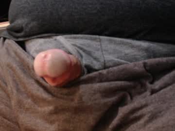 Preshus May 02, 2026 Chaturbate stream image