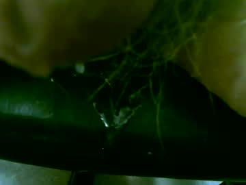 Tallgentleman May 03, 2026 Chaturbate stream image